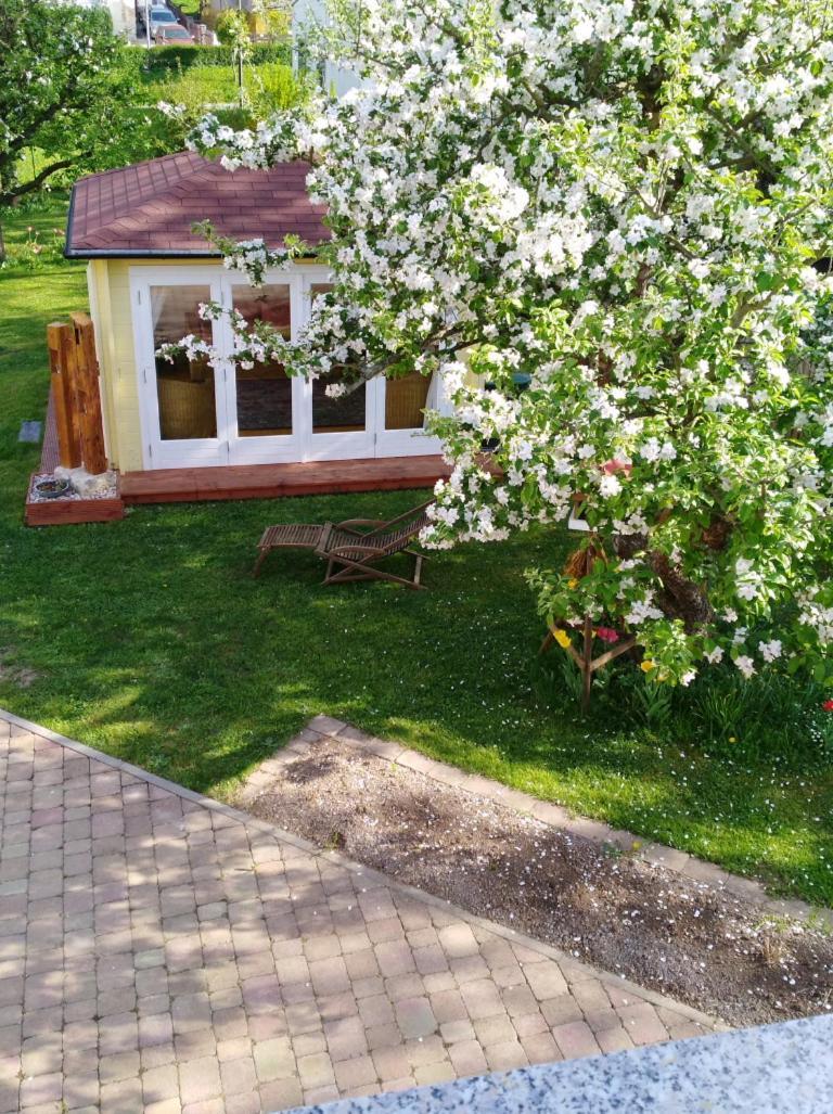 Ferienhaus Kaiser Branchewinda Bagian luar foto